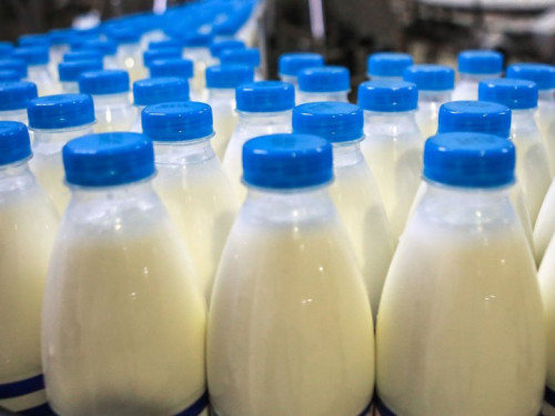Бекстейдж с фотосъемки продукции Сухонского молочного комбината