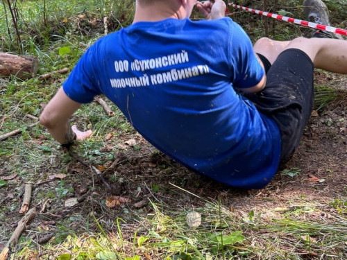 135.jpg